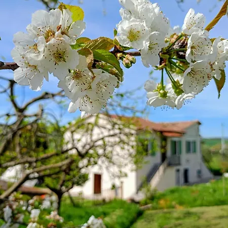 Casa Otri Πανσιόν Otricoli