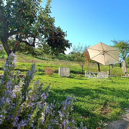 Casa Otri Pensión Otricoli