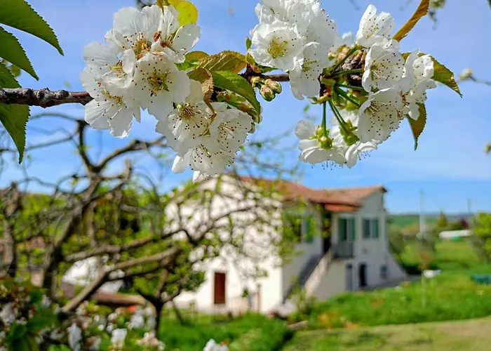 Casa Otri Πανσιόν Otricoli