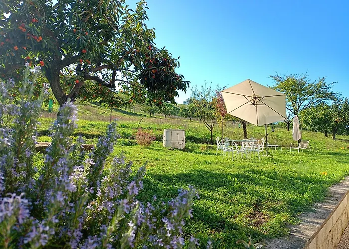 Casa Otri ゲストハウス Otricoli