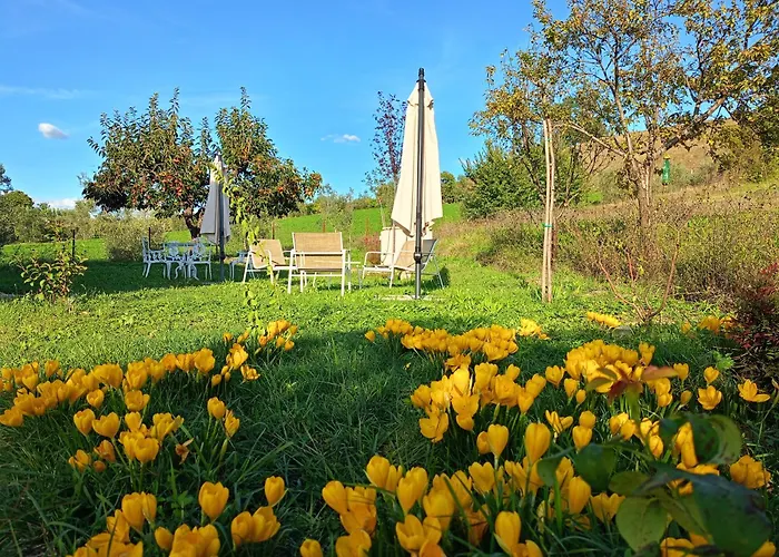 Casa Otri ゲストハウス Otricoli